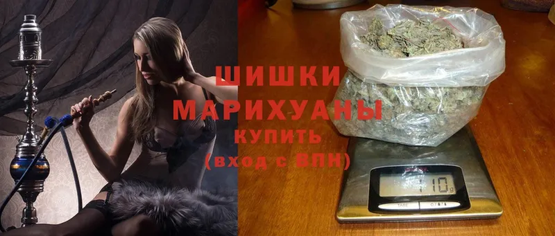 Бошки марихуана Amnesia  Бийск 